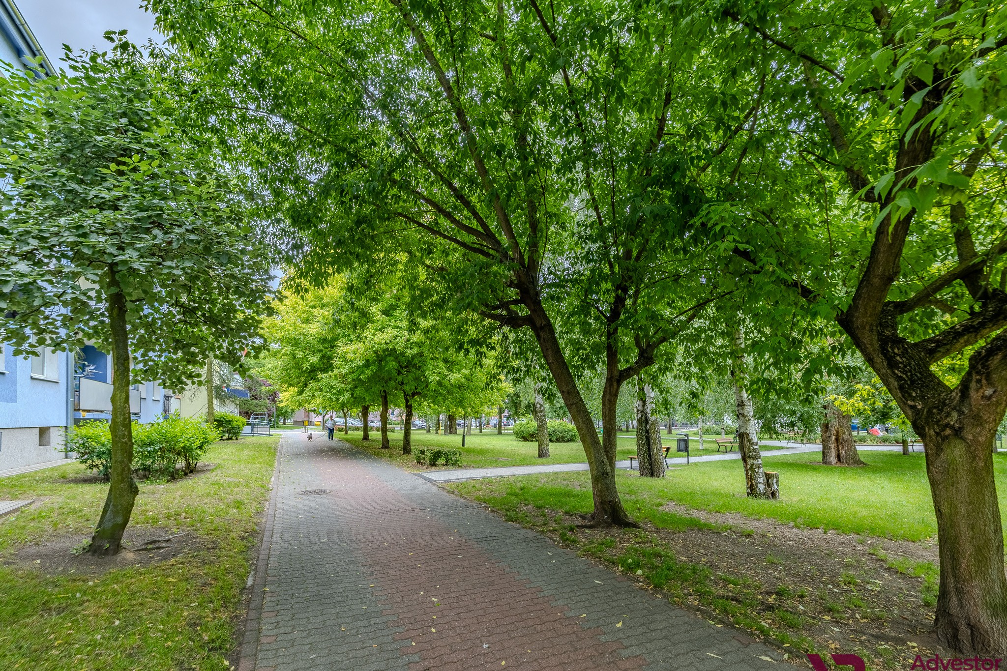 5P0A8830-HDR