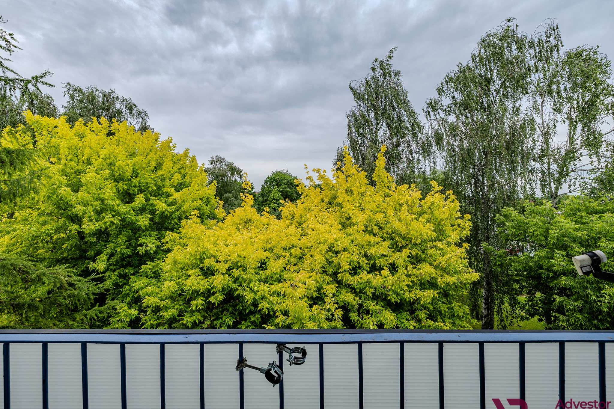 5P0A8914-HDR